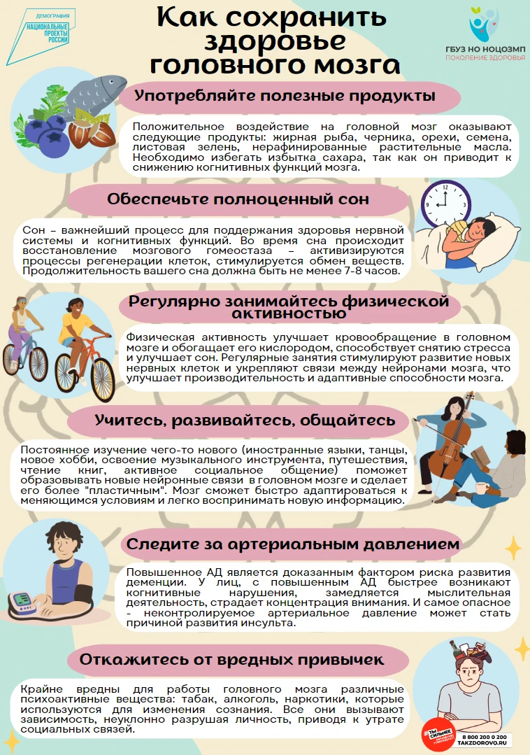 Семь столпов здорового мозга